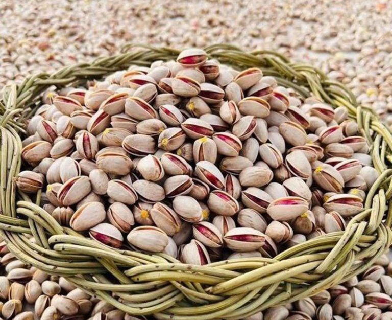 Ahmad Aghaei Pistachio
